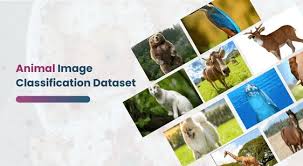 Animal Classifier